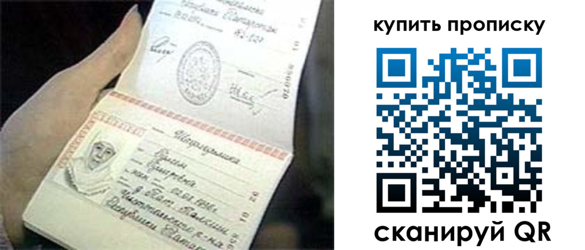 прописка поиск в Тосно